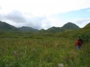 Hike to Ugadaga Bay (Photo by Tonya Miller)