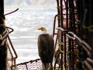 Photo by Eryn Whittern