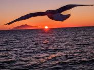 Photo by Tim Mahoney