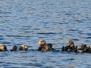 Photo by Tim Mahoney