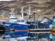 Storm Petrel, Dominator, Royal Atlantic, Elinore J, American Beauty Photo by Eryn Whittern