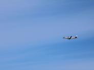 Photo by Eryn Whittern