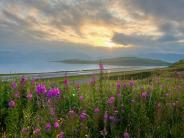 Photo by Eryn Whittern