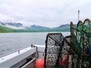 Photo by Eryn Whittern