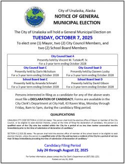 1st Notice of General Election 2025